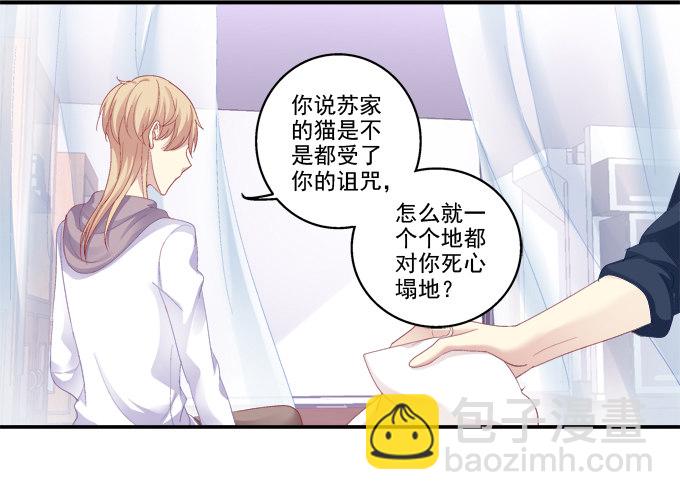 猫妖回魂-第44话