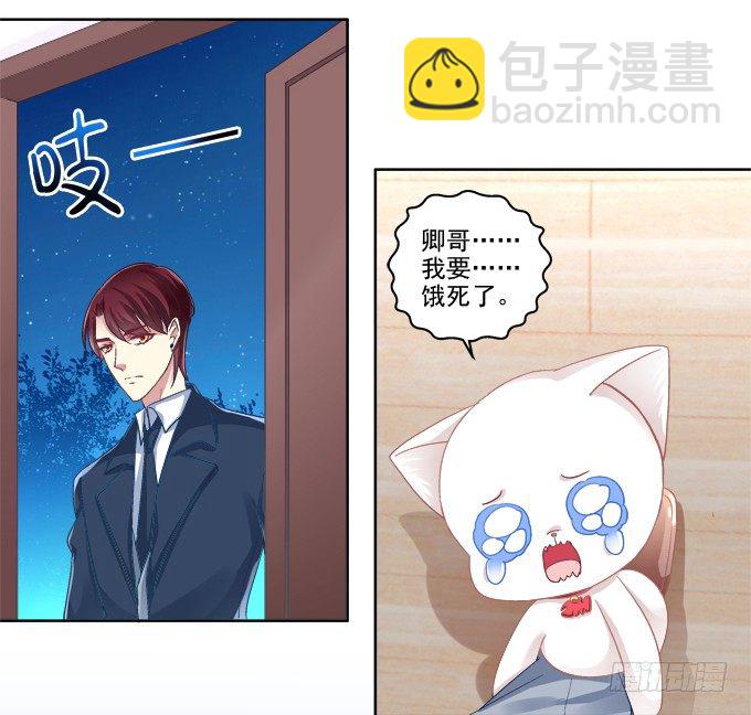 猫咪爱吃鱼-第6话