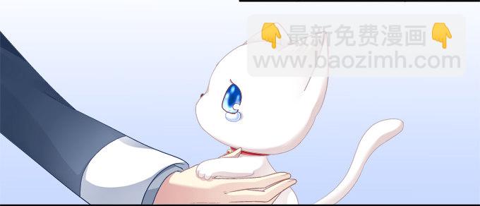 猫咪爱吃鱼-第6话