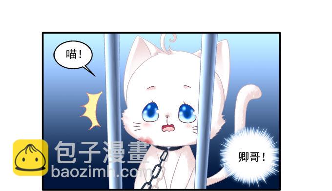 英雄救喵(1/2)-第78话