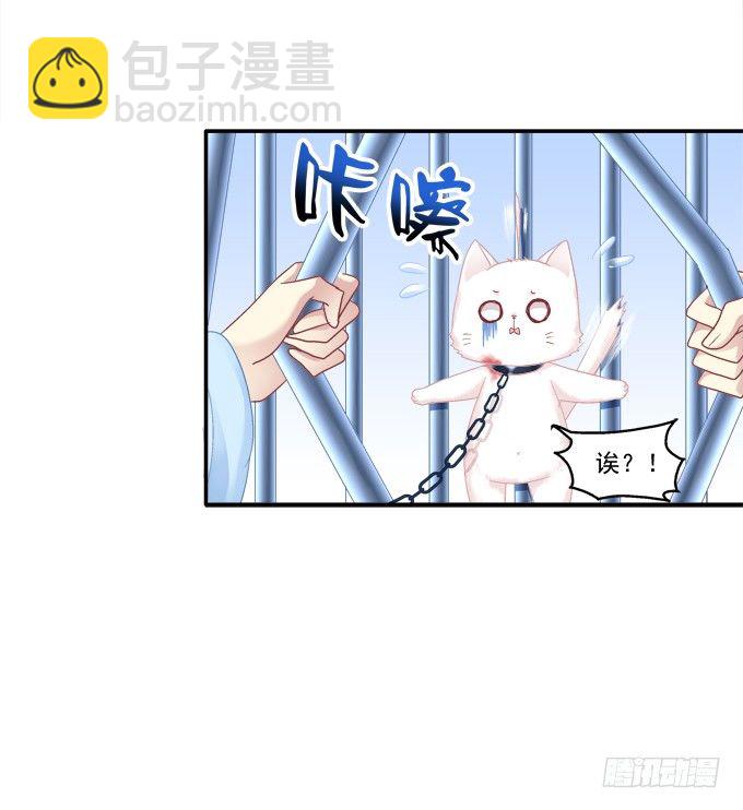 英雄救喵(1/2)-第78话
