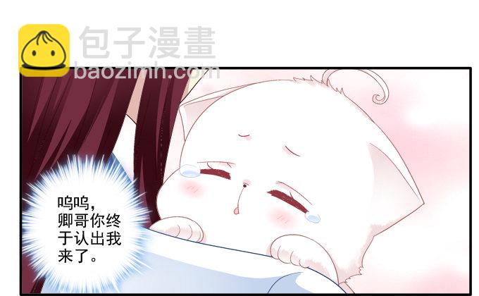 英雄救喵(1/2)-第78话