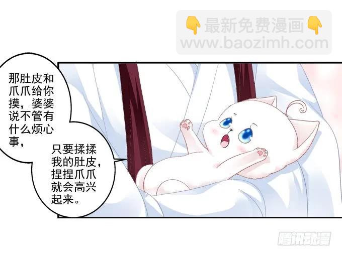 盛装出席(1/2)-第82话