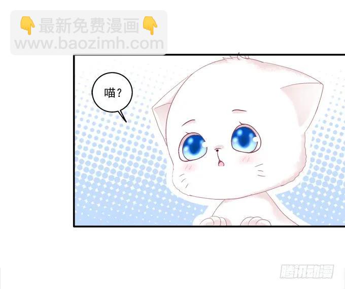 盛装出席(1/2)-第82话