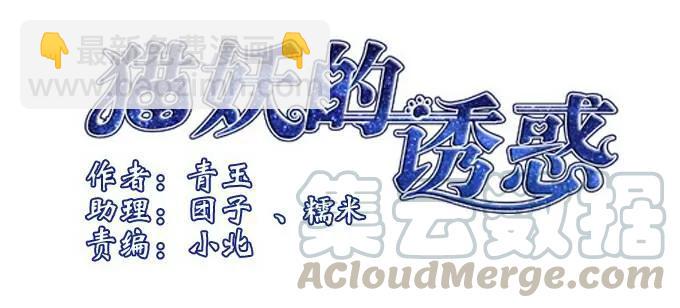 盛装出席(1/2)-第82话