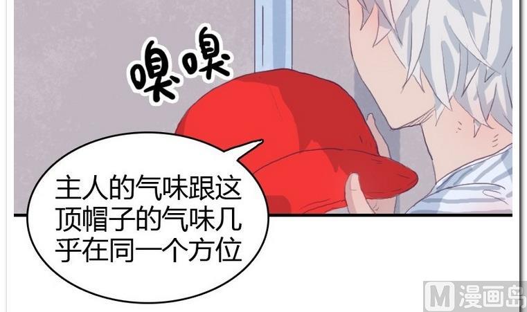 第20话 尾巴-第20话