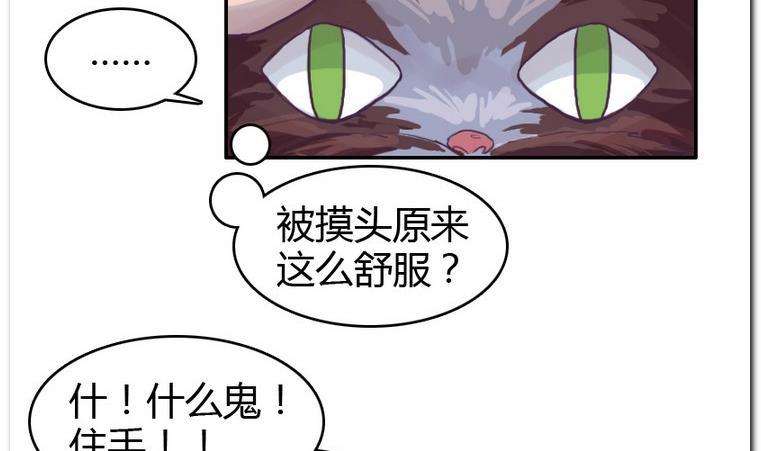 第56话 解除变幻-第56话