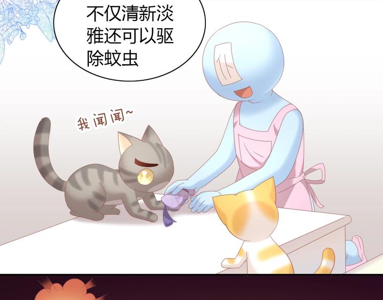 第101话 端午节礼物(1/2)-第102话