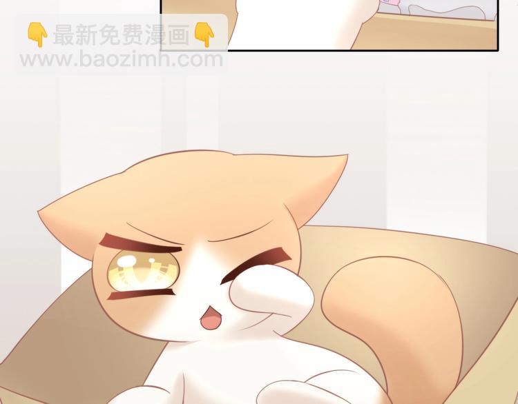 第103话 迷之制茶师(1/2)-第104话