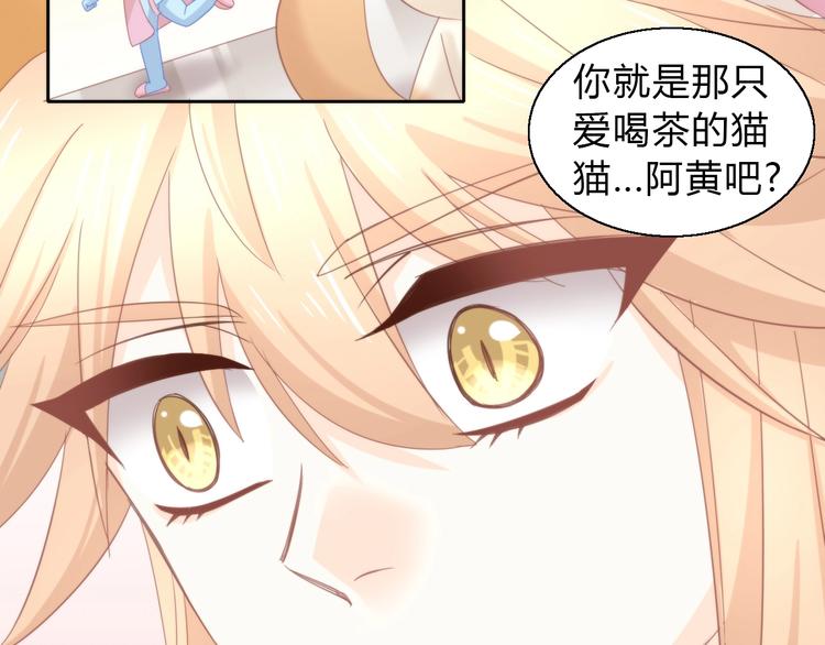 第103话 迷之制茶师(1/2)-第104话