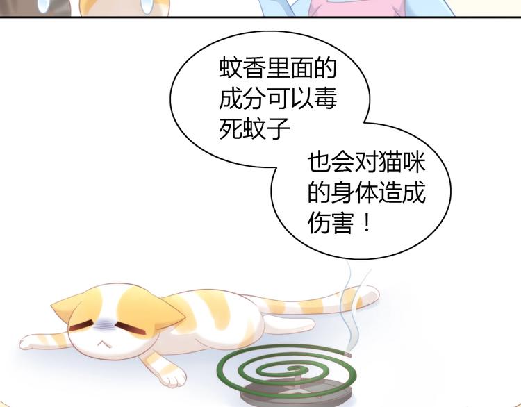 第105话 蚊子战争(1/3)-第106话