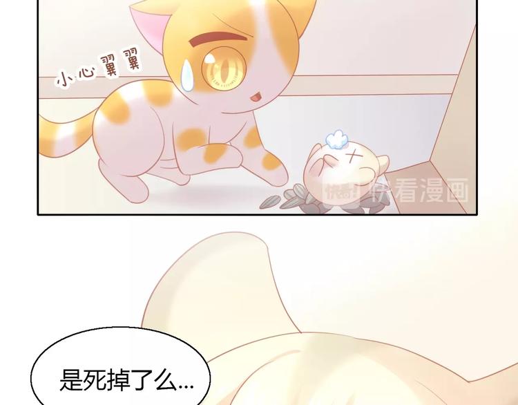 第107话  仓鼠式晕厥(1/2)-第108话
