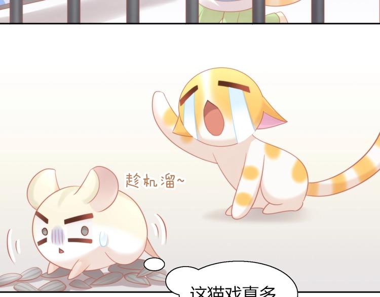 第107话  仓鼠式晕厥(1/2)-第108话