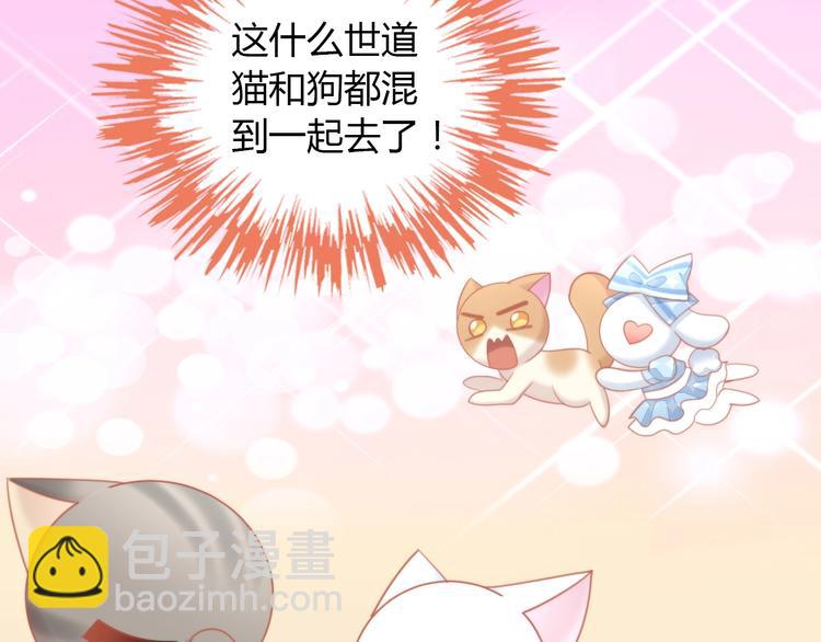 第107话  仓鼠式晕厥(1/2)-第108话