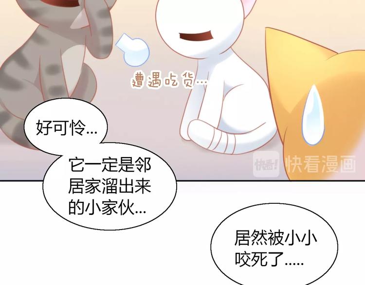 第107话  仓鼠式晕厥(1/2)-第108话