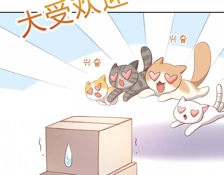 第12话  纸箱争夺战(1/2)-第12话