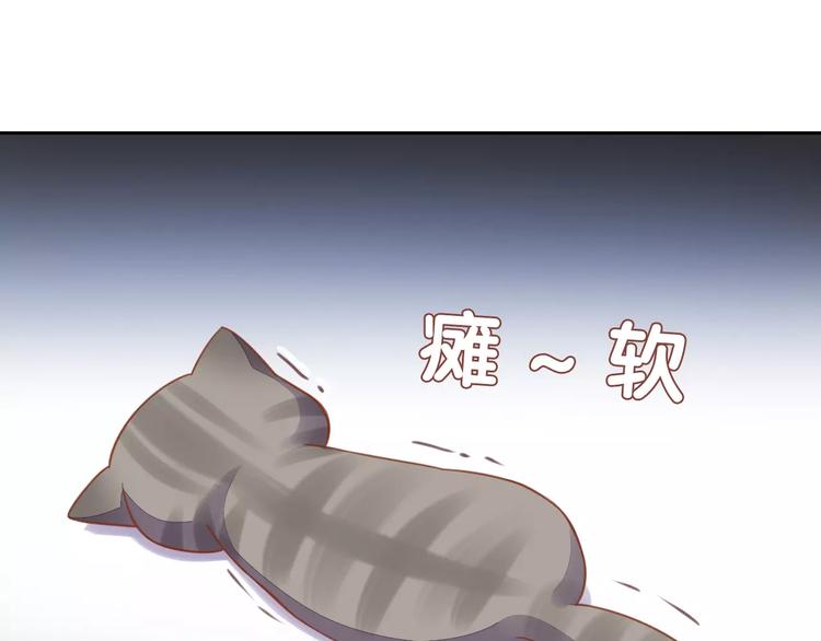 第12话  纸箱争夺战(1/2)-第12话