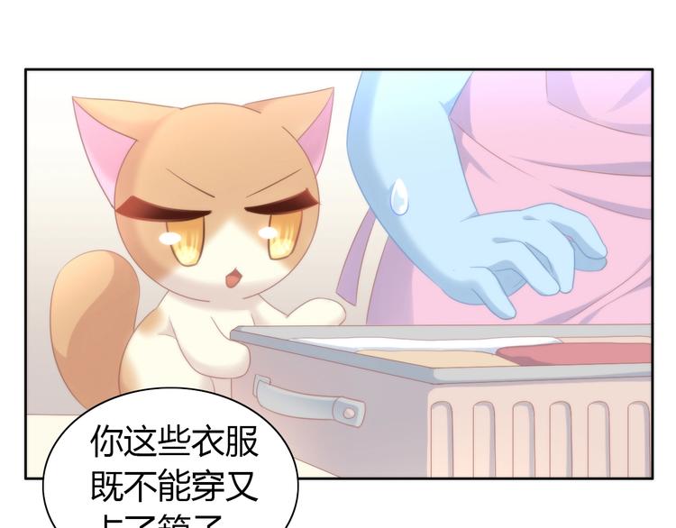 第113话 断舍离(1/2)-第114话