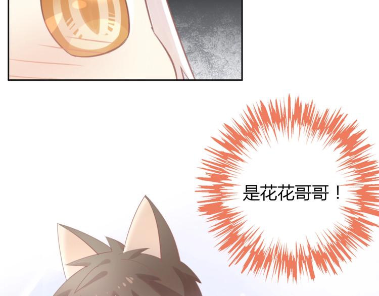 第119话 猫爪学园（二）(1/3)-第120话