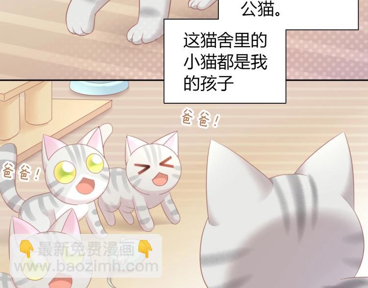 第125话 猫舍C位（一）(1/2)-第126话