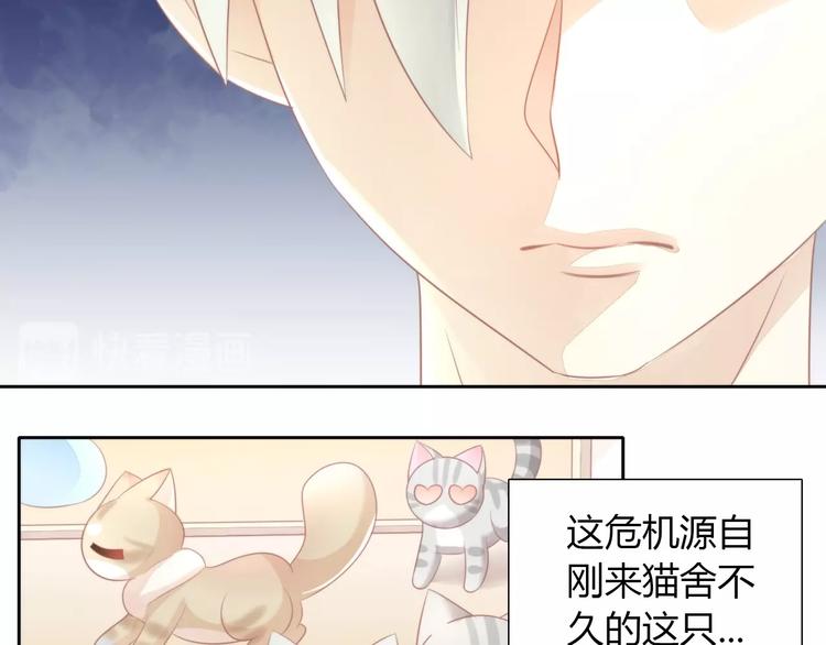 第125话 猫舍C位（一）(1/2)-第126话