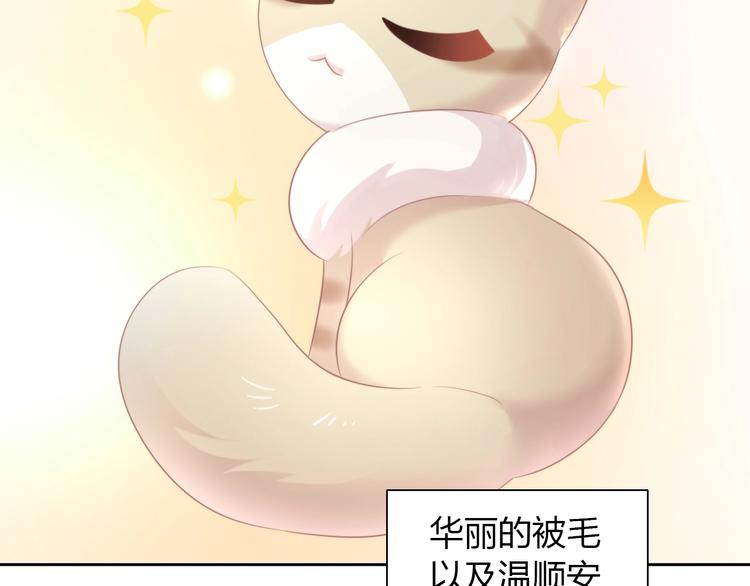 第125话 猫舍C位（一）(1/2)-第126话
