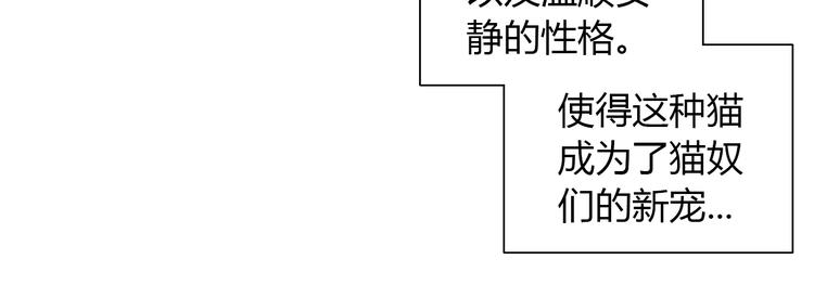 第125话 猫舍C位（一）(1/2)-第126话