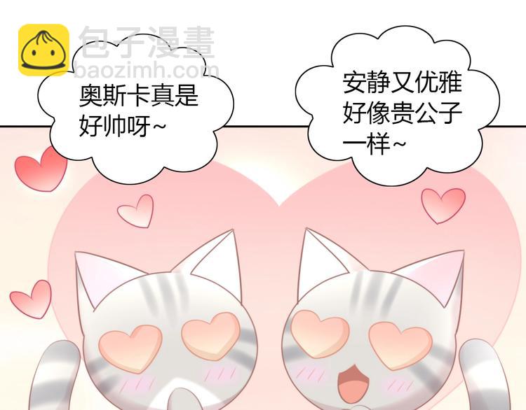 第125话 猫舍C位（一）(1/2)-第126话