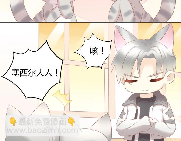 第125话 猫舍C位（一）(1/2)-第126话