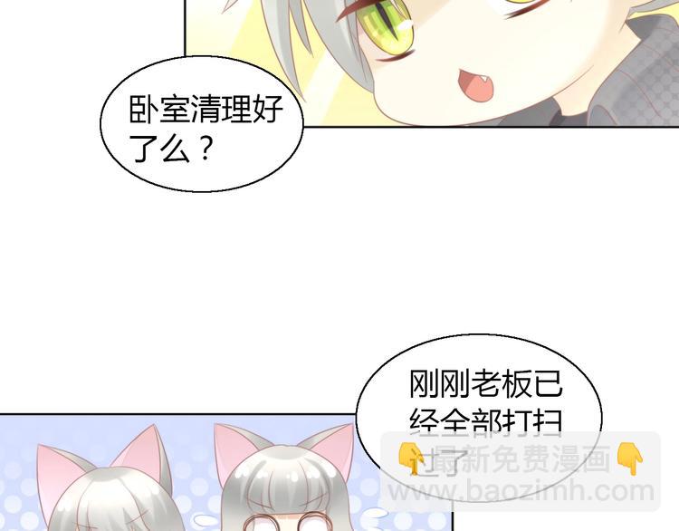 第125话 猫舍C位（一）(1/2)-第126话