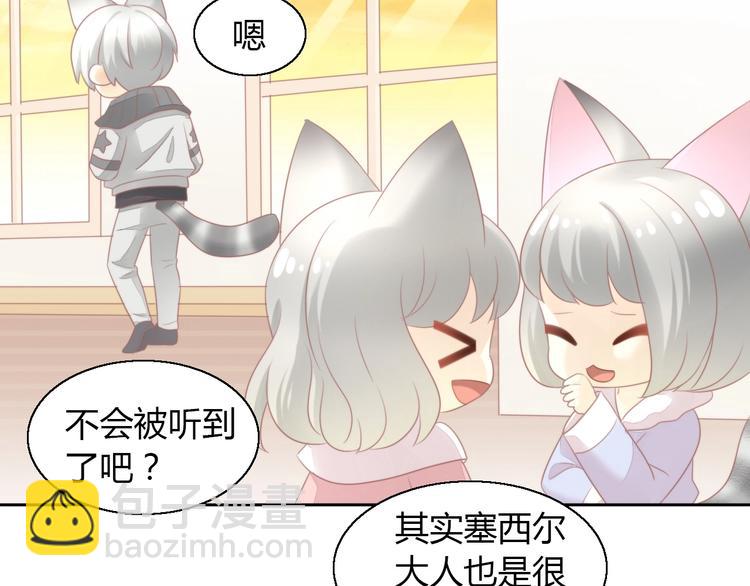 第125话 猫舍C位（一）(1/2)-第126话
