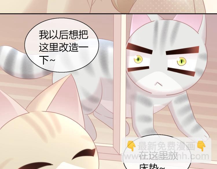 第125话 猫舍C位（一）(1/2)-第126话