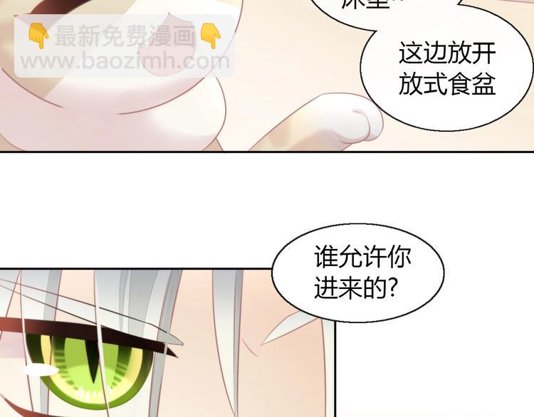 第125话 猫舍C位（一）(1/2)-第126话