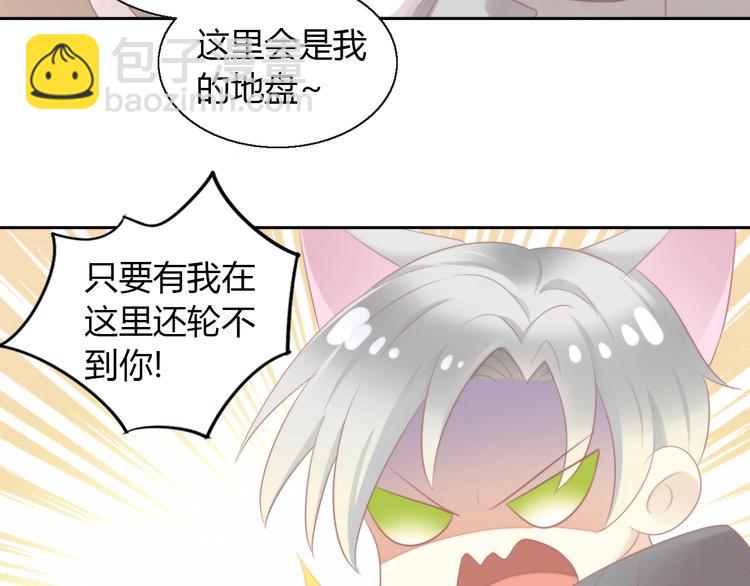 第125话 猫舍C位（一）(1/2)-第126话