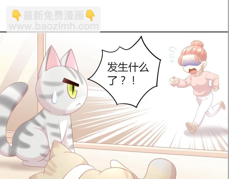 第125话 猫舍C位（一）(1/2)-第126话