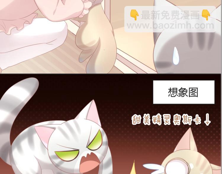 第125话 猫舍C位（一）(1/2)-第126话