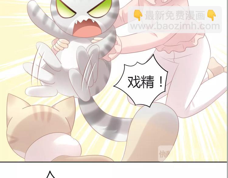 第125话 猫舍C位（一）(1/2)-第126话