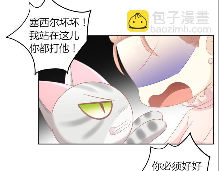 第125话 猫舍C位（一）(1/2)-第126话
