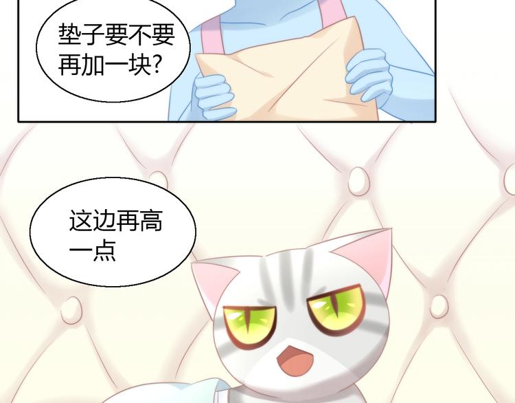 第127话 猫舍C位（三）(1/3)-第128话