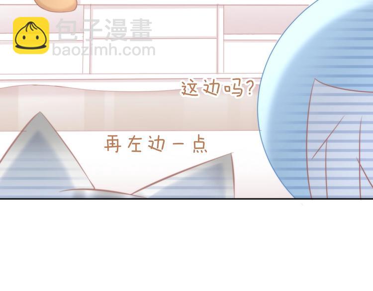 第127话 猫舍C位（三）(1/3)-第128话
