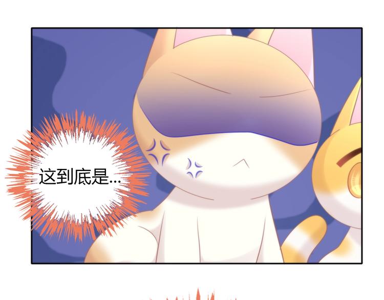 第127话 猫舍C位（三）(1/3)-第128话