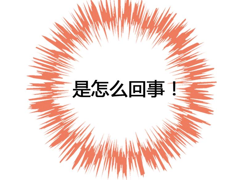 第127话 猫舍C位（三）(1/3)-第128话