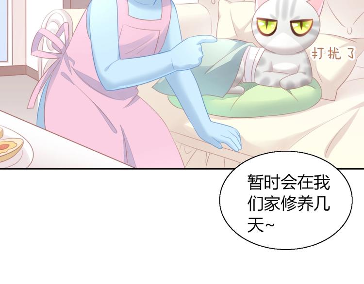 第127话 猫舍C位（三）(1/3)-第128话