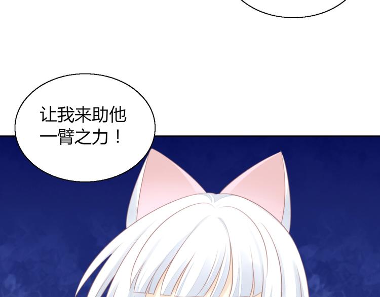 第127话 猫舍C位（三）(1/3)-第128话