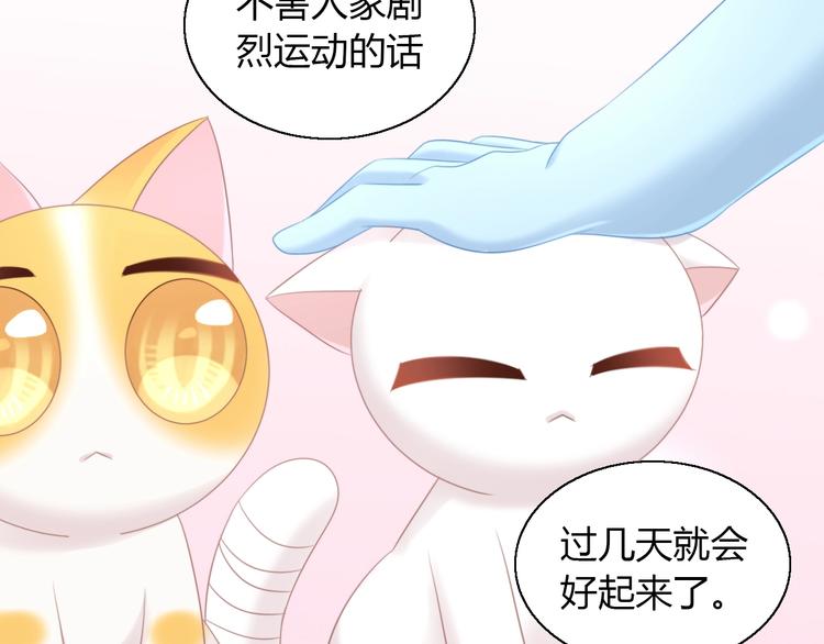 第127话 猫舍C位（三）(1/3)-第128话