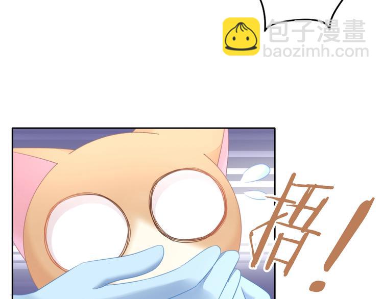 第127话 猫舍C位（三）(1/3)-第128话