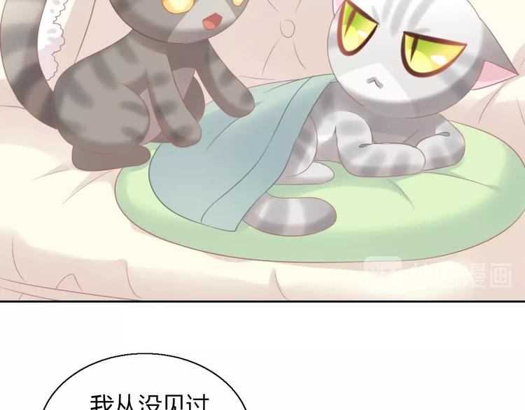 第127话 猫舍C位（三）(1/3)-第128话
