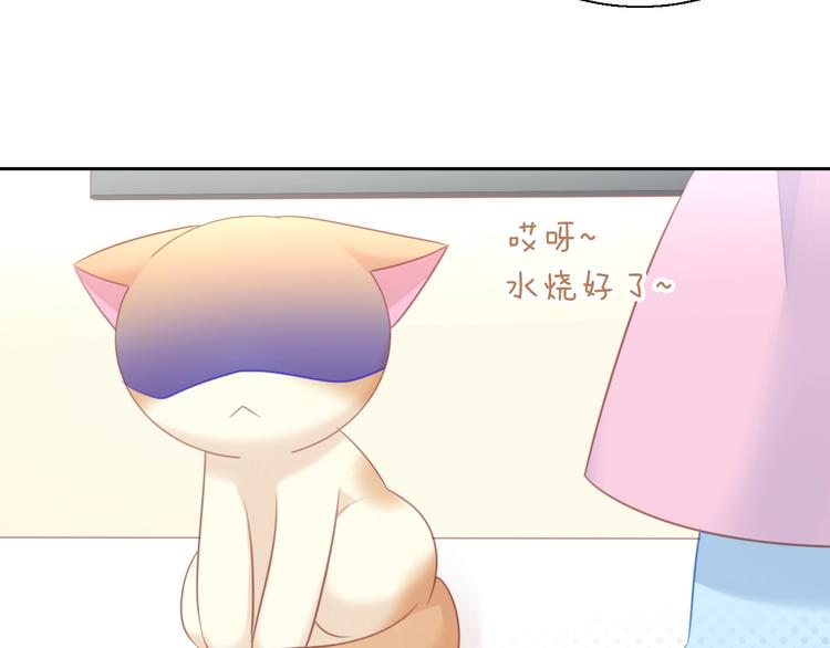 第127话 猫舍C位（三）(1/3)-第128话