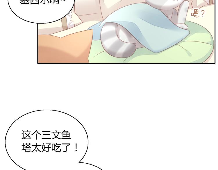 第127话 猫舍C位（三）(1/3)-第128话