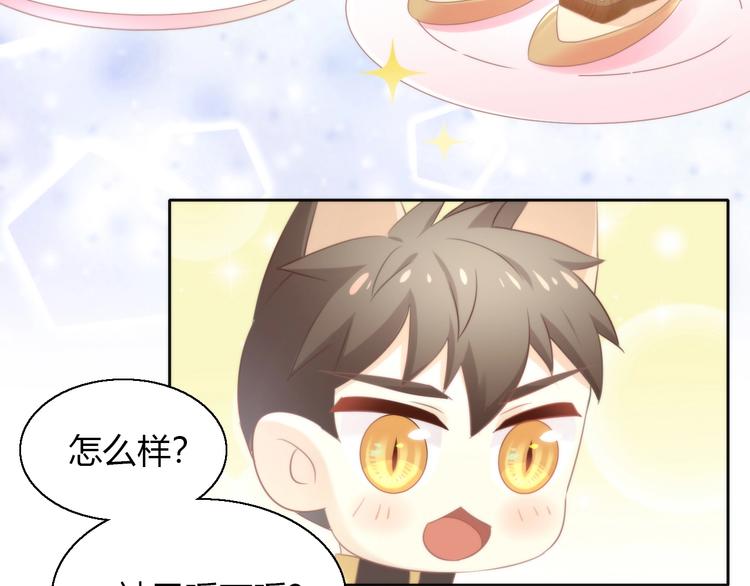 第127话 猫舍C位（三）(1/3)-第128话